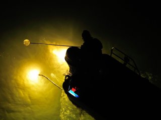 Fishing lamps, which have a strong beam like a search light, attract the glass eels